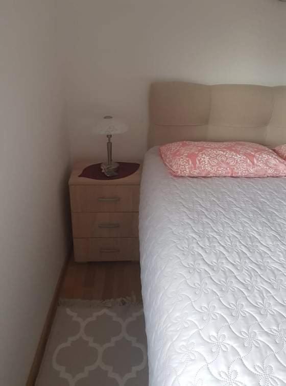 Vila Irina - Apartman Milos Kopaonik Exterior foto