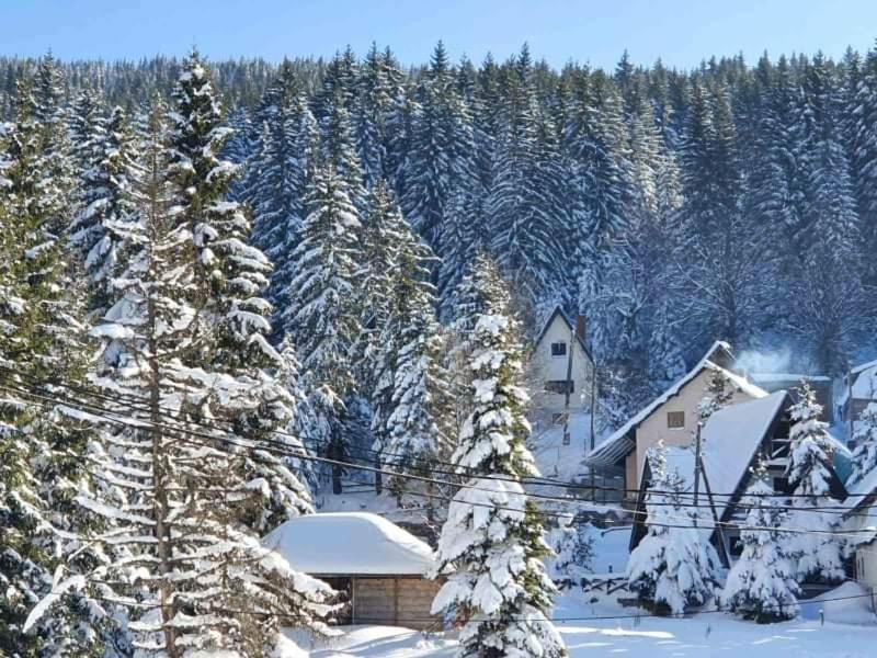 Vila Irina - Apartman Milos Kopaonik Exterior foto