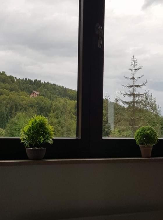 Vila Irina - Apartman Milos Kopaonik Exterior foto